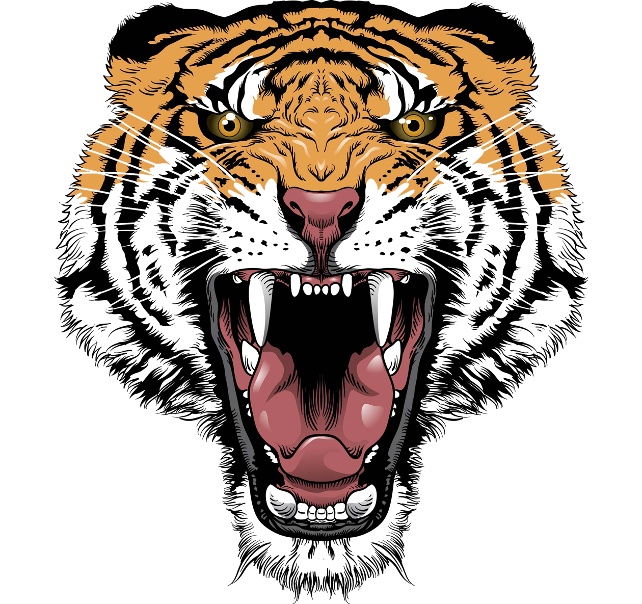 Png Tiger Face - Tiger Face Transparent Png, Transparent background PNG HD thumbnail