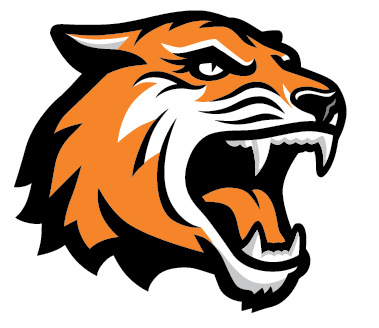 Png Tiger Face - Tiger Head Png, Transparent background PNG HD thumbnail