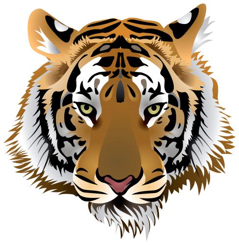 Tiger Head Png Clip Art | Clipart Animals | Pinterest | Clip Art And Tigers - Tiger Face, Transparent background PNG HD thumbnail