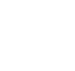 Clemson University Tiger Paw, South Carolina - Tiger Paw, Transparent background PNG HD thumbnail