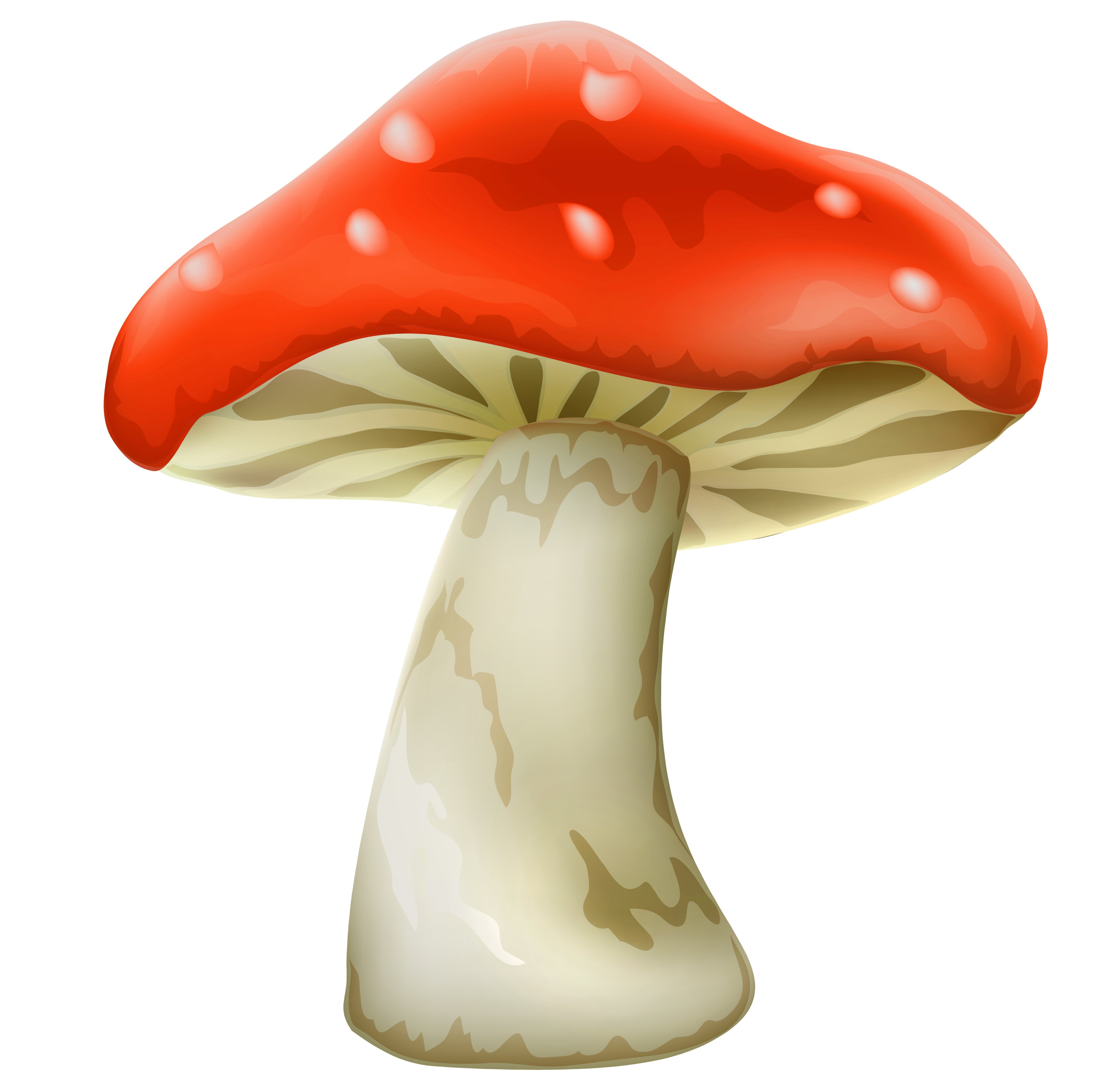 Pin Mushroom Clipart Red Mushroom #1 - Toadstool, Transparent background PNG HD thumbnail
