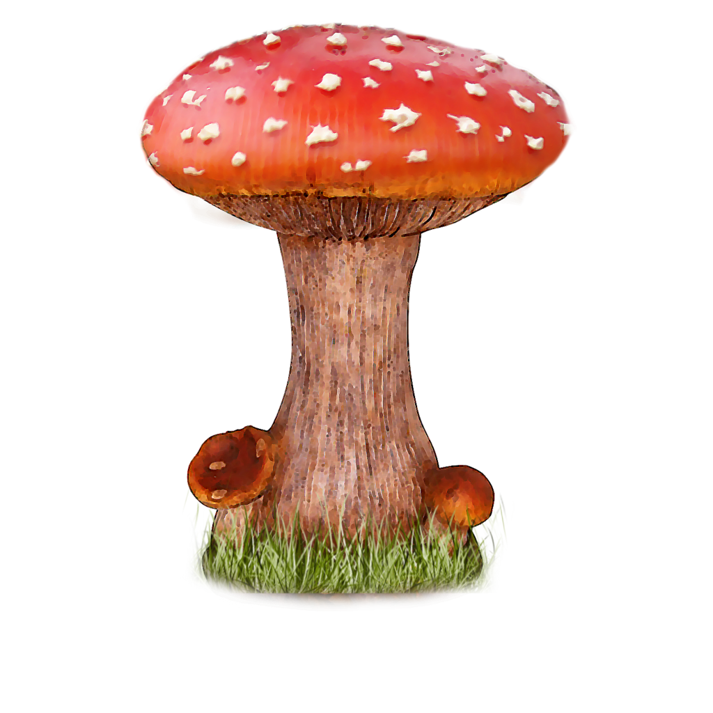 Png Mushroom3 By Moonglowlilly Png Mushroom3 By Moonglowlilly - Toadstool, Transparent background PNG HD thumbnail