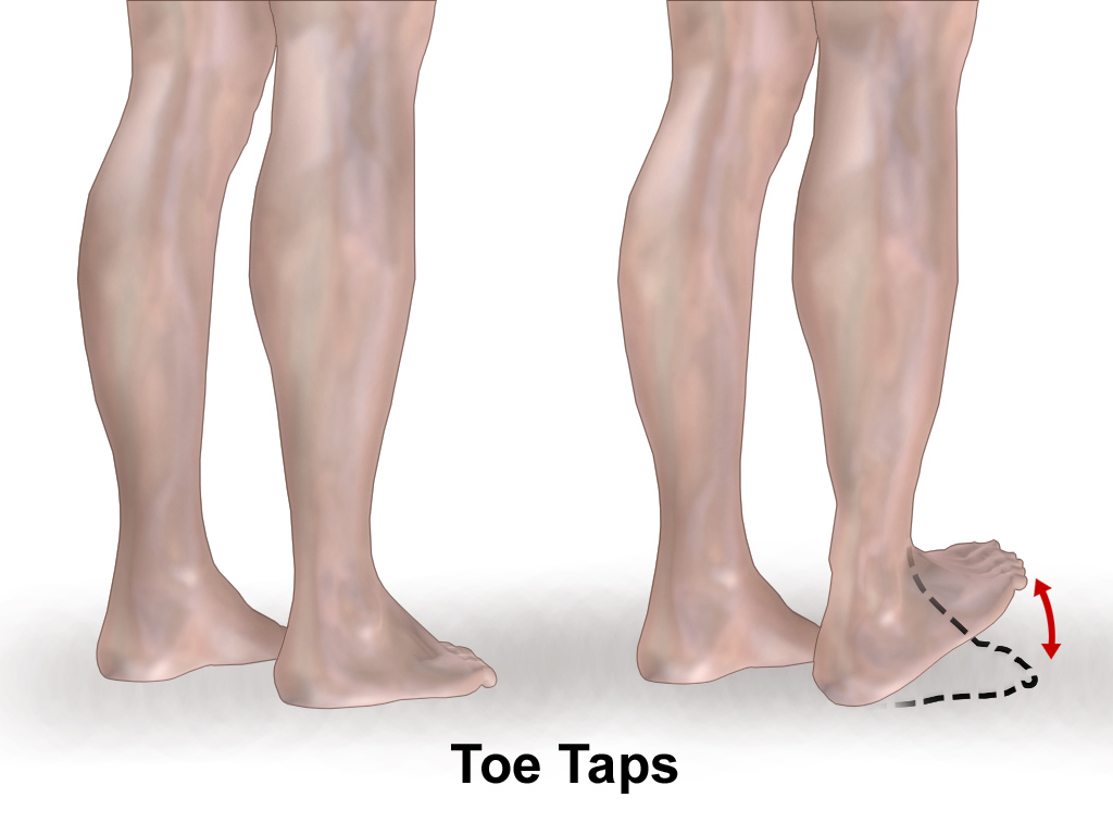 File:exercise Toe Taps.png - Toe, Transparent background PNG HD thumbnail