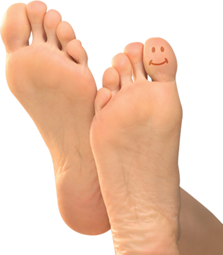 Foot Png Image - Toe, Transparent background PNG HD thumbnail