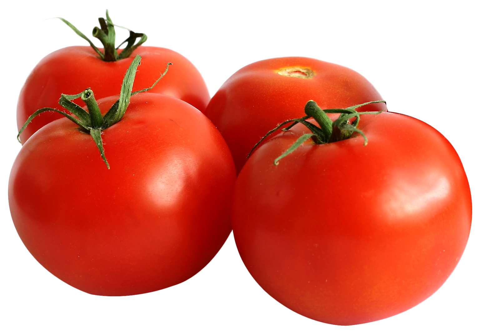 Png Tomato Hdpng.com 1534 - Tomato, Transparent background PNG HD thumbnail