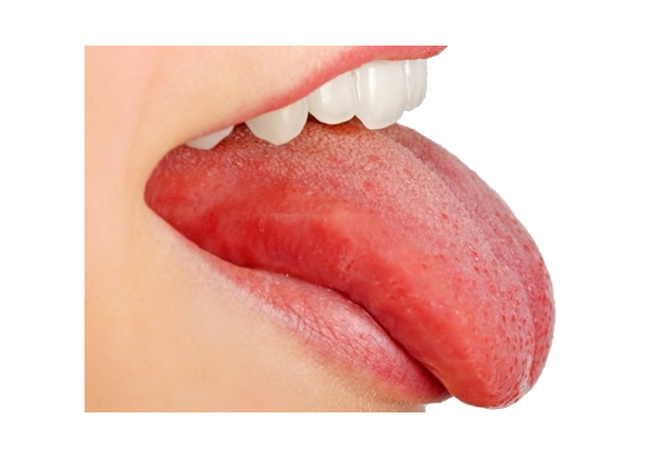 Png Tongue Hdpng.com 600 - Tongue, Transparent background PNG HD thumbnail