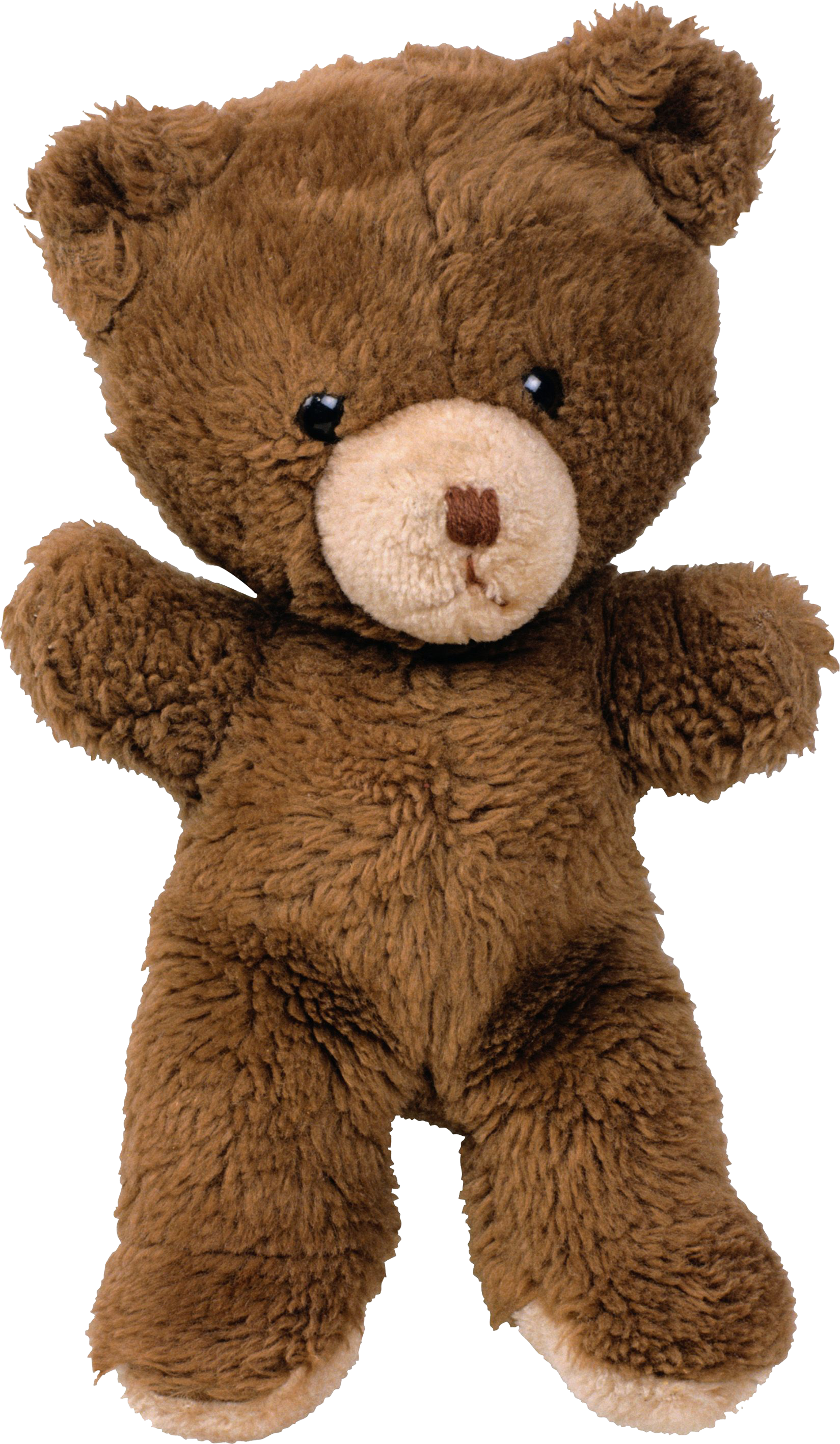 Toy Bear Png Image - Toy, Transparent background PNG HD thumbnail