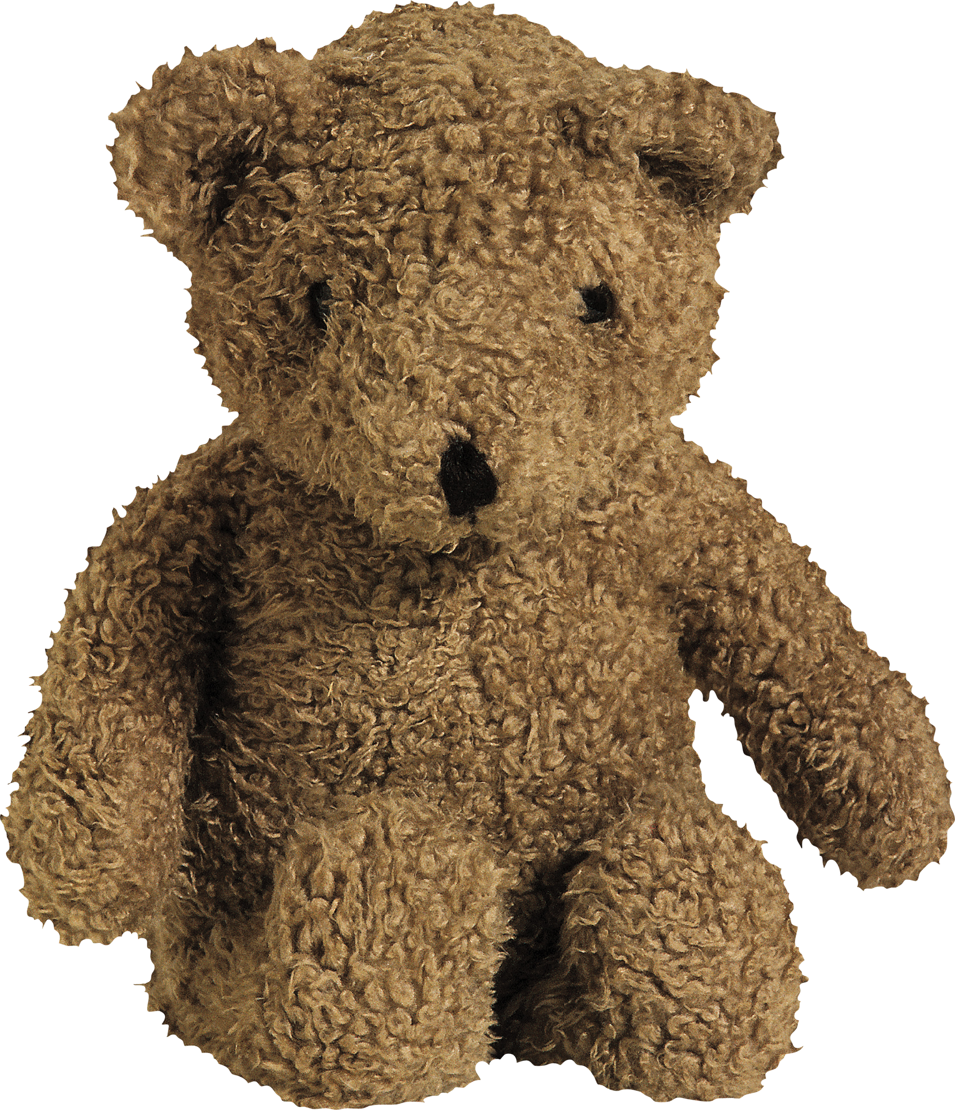 Toy Bear Png Image - Toy, Transparent background PNG HD thumbnail