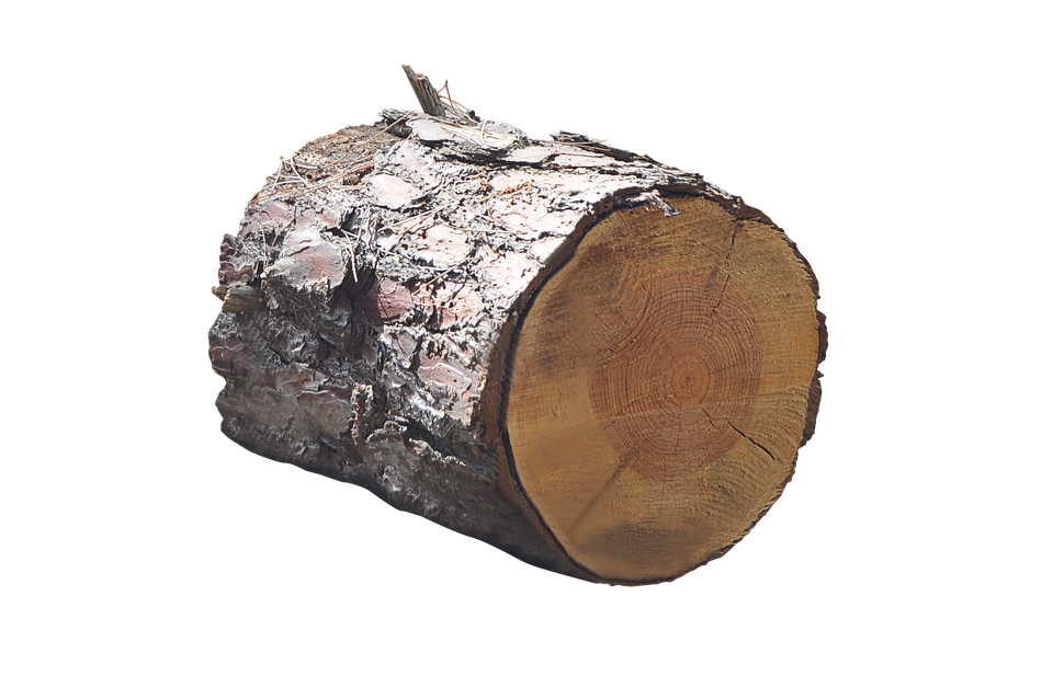 Png, Trunk, Lena, Tree - Tree Trunk, Transparent background PNG HD thumbnail