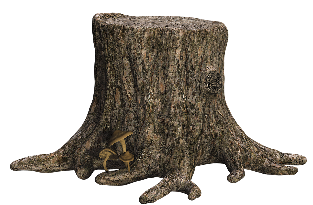 Tree Trunk Stock PNG | Flickr