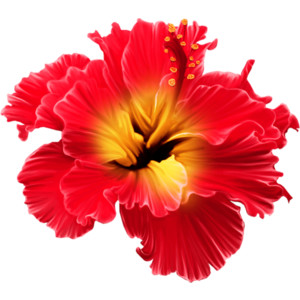 Png Tropical Flowers Hdpng.com 300 - Tropical Flowers, Transparent background PNG HD thumbnail