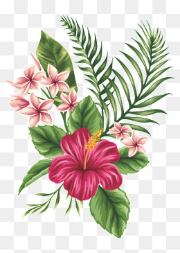 Hand Painted Flowers, Flowers, Flowers, Flower Png Image - Tropical Flowers, Transparent background PNG HD thumbnail