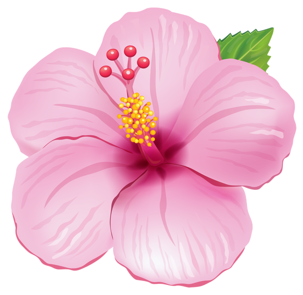 Pink Exotic Flower Png Clipart Picture - Tropical Flowers, Transparent background PNG HD thumbnail