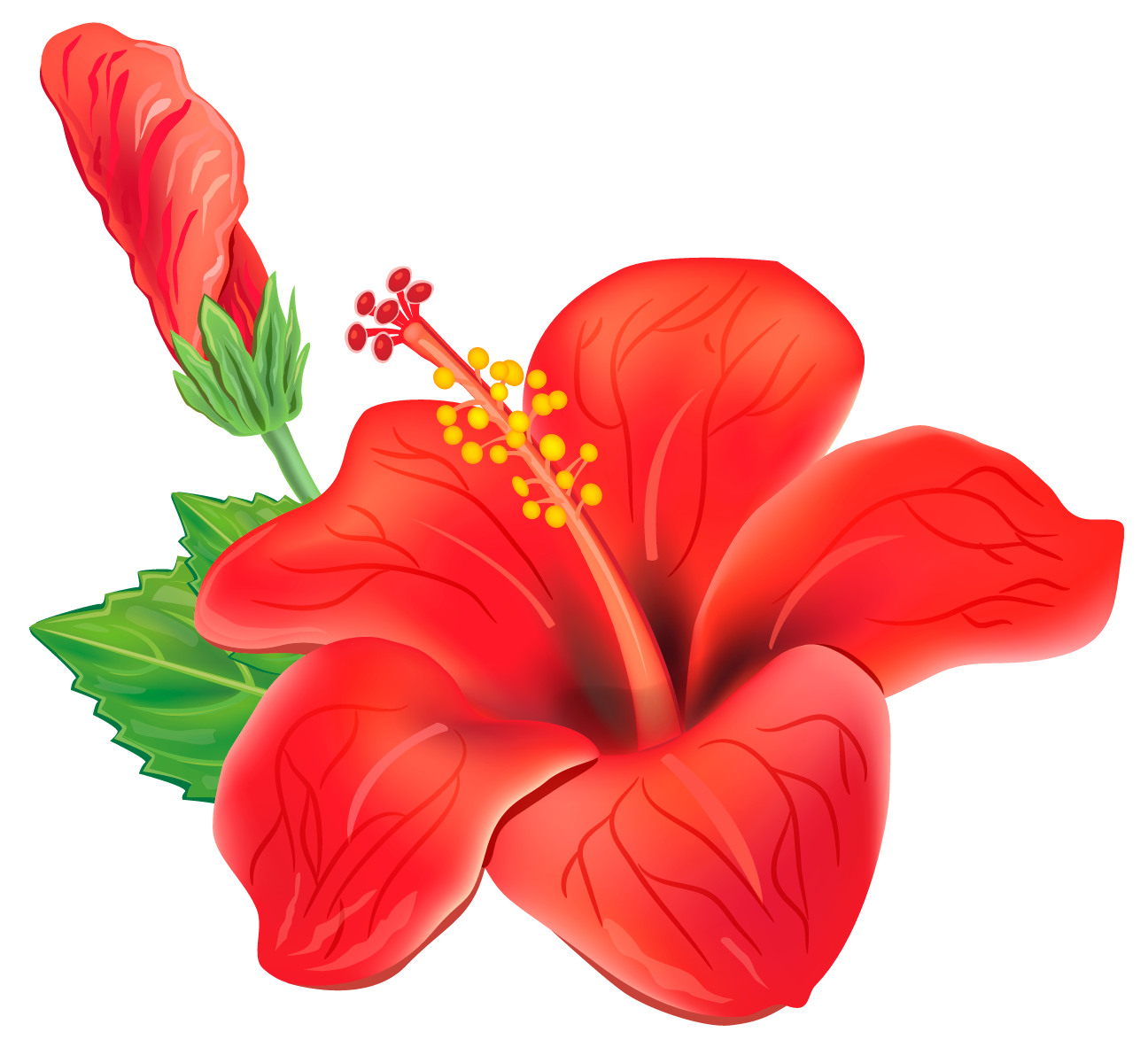 Red Exotic Flower Png Clipart Picture - Tropical Flowers, Transparent background PNG HD thumbnail