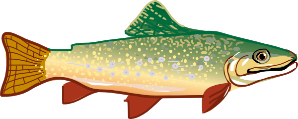 Png: Small · Medium · Large - Trout, Transparent background PNG HD thumbnail