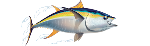 Nightime Tuna Fishing - Tuna, Transparent background PNG HD thumbnail