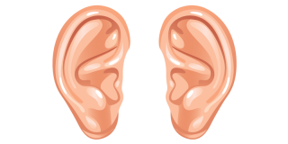 Ears - Two Ears, Transparent background PNG HD thumbnail