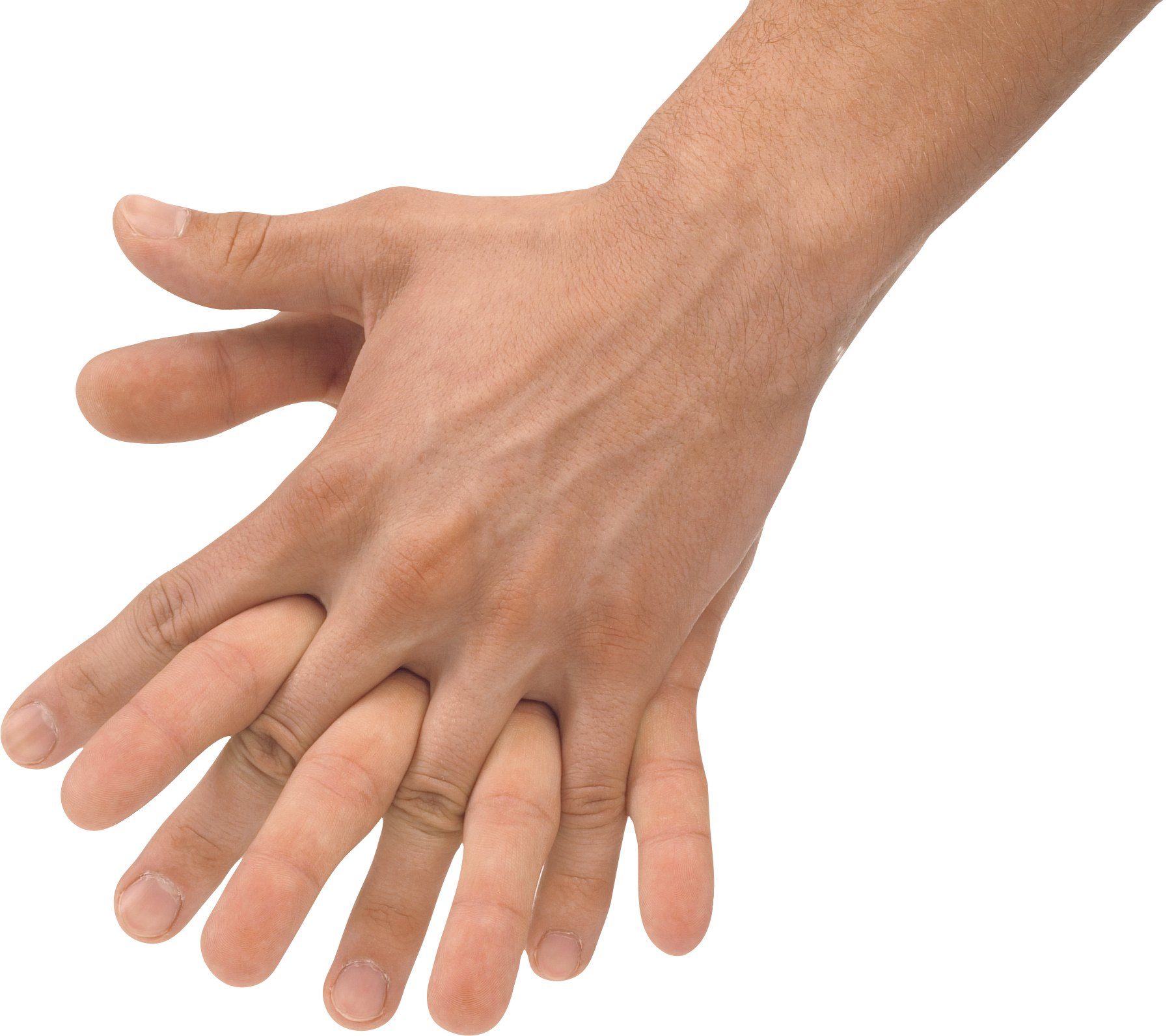 Png Two Hands - Hands Png, Hand Image Free, Transparent background PNG HD thumbnail