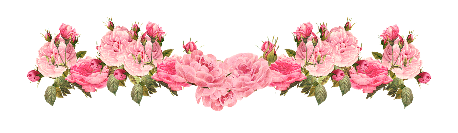 Image   Free Vintage Rose Borders Vintage  Roses Scrapbooking Embellishment Uupoyg Clipart.png | Animal Jam Clans Wiki | Fandom Powered By Wikia - Vintage, Transparent background PNG HD thumbnail