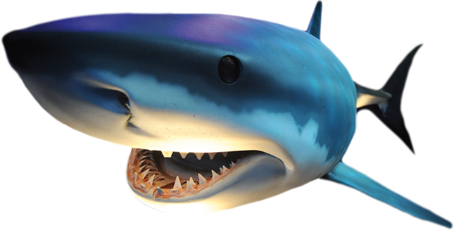 Mr Shark.png - Vis, Transparent background PNG HD thumbnail