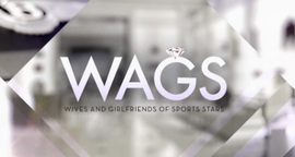 Png Wag Hdpng.com 270 - Wag, Transparent background PNG HD thumbnail