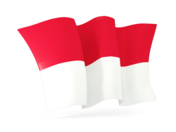 Waving flag of Papua New Guin