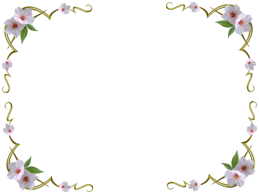 White Flowers Without Background By Missesambervaughn Hdpng.com  - Without White Background, Transparent background PNG HD thumbnail
