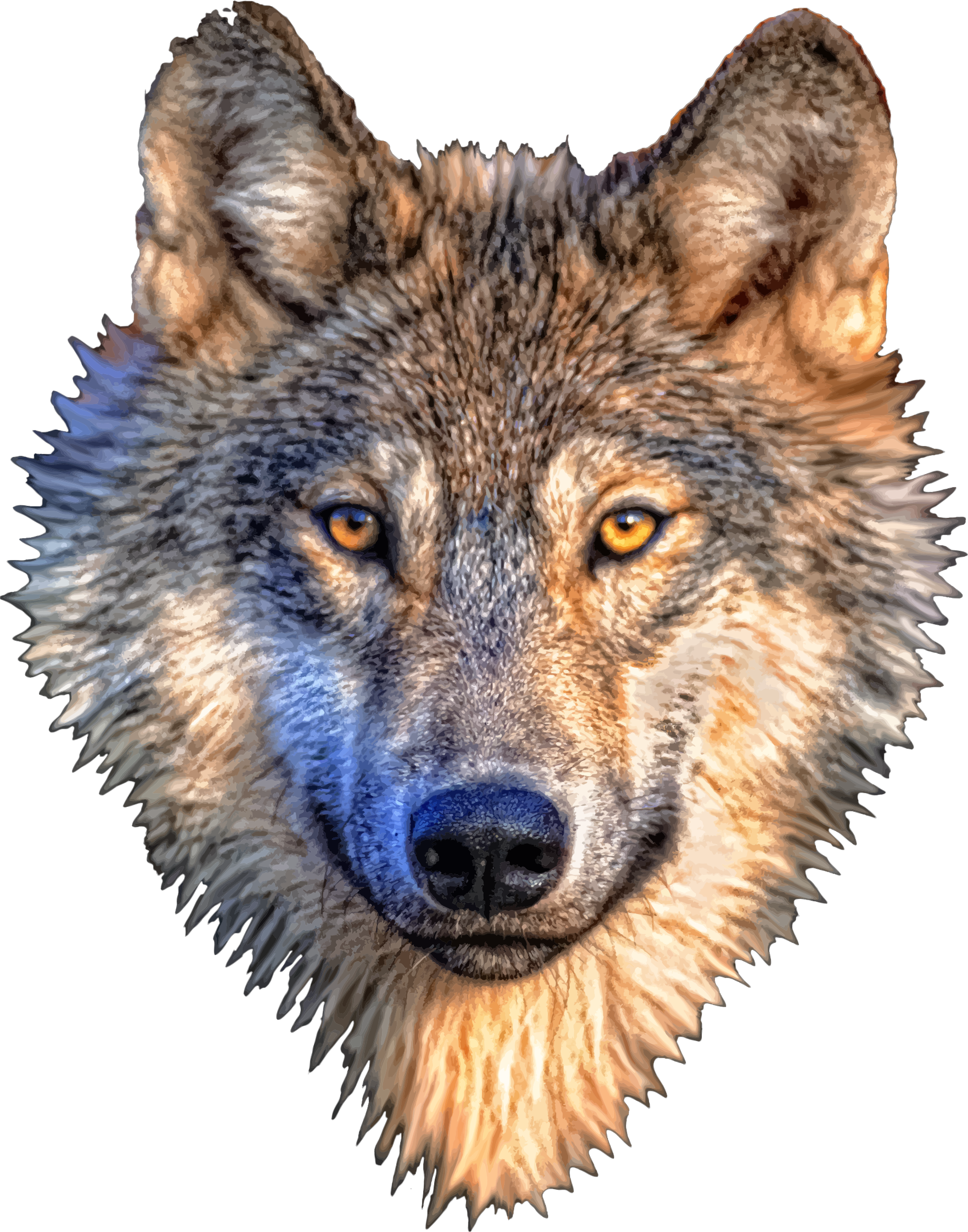 Big Image (Png) - Wolf Head, Transparent background PNG HD thumbnail