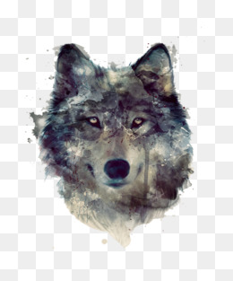 Gray Watercolor Wolf Head · Png Psd - Wolf Head, Transparent background PNG HD thumbnail