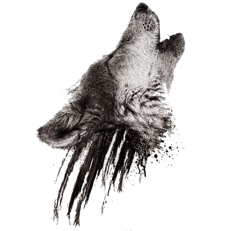 Image   Realistic Howling Wolf Head On Black Smudges Tattoo Design.png | Animal Jam Clans Wiki | Fandom Powered By Wikia - Wolf Head, Transparent background PNG HD thumbnail