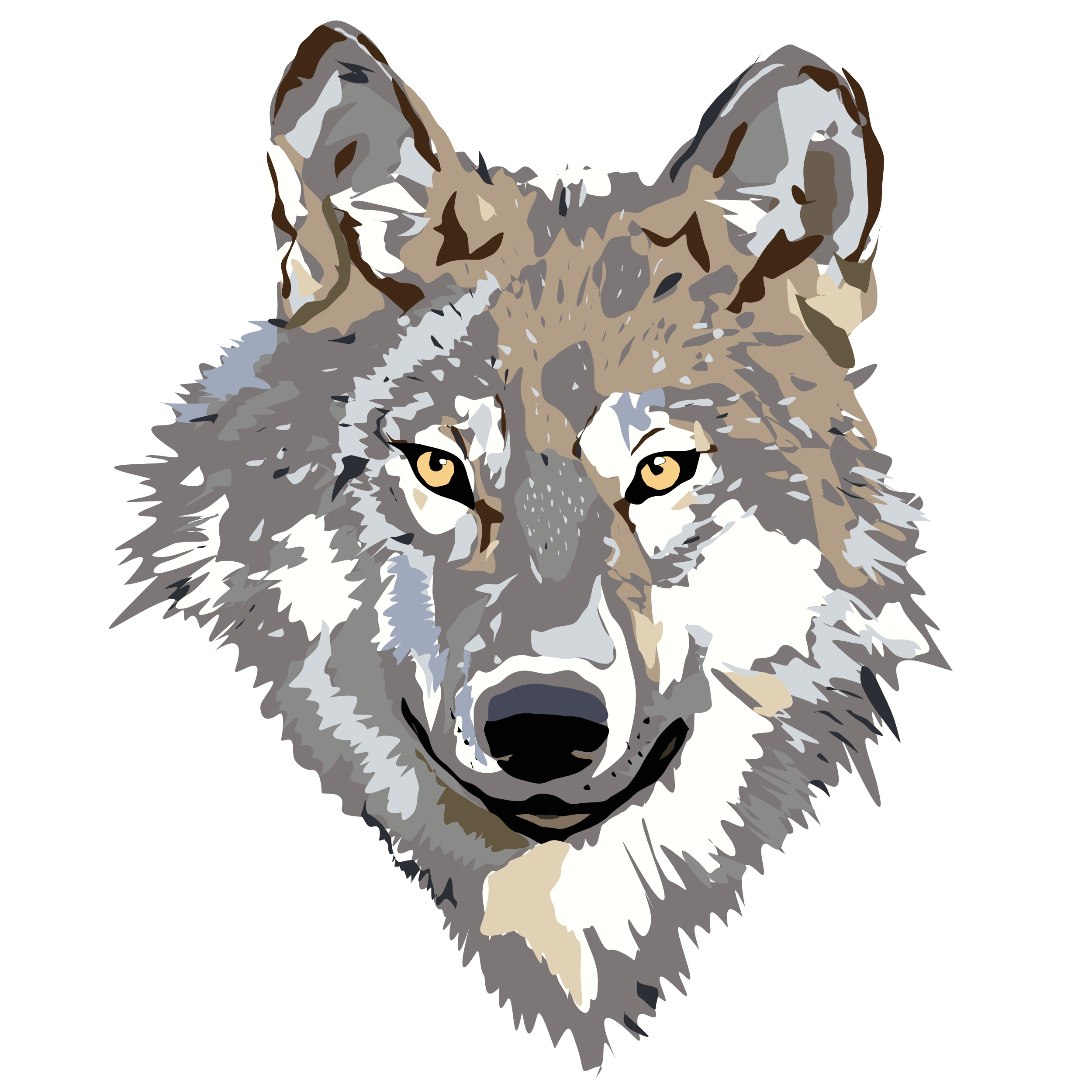 Wolf Head 3 - Wolf Head, Transparent background PNG HD thumbnail