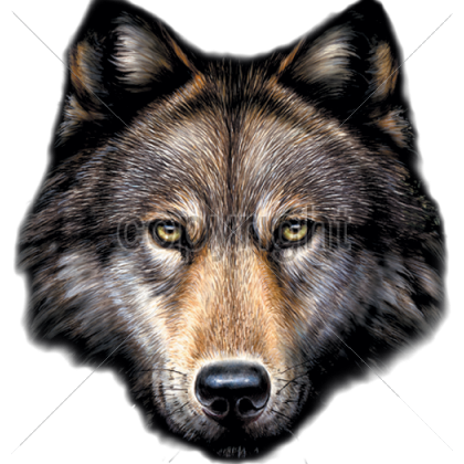 Wolf Head   Buscar Con Google - Wolf Head, Transparent background PNG HD thumbnail