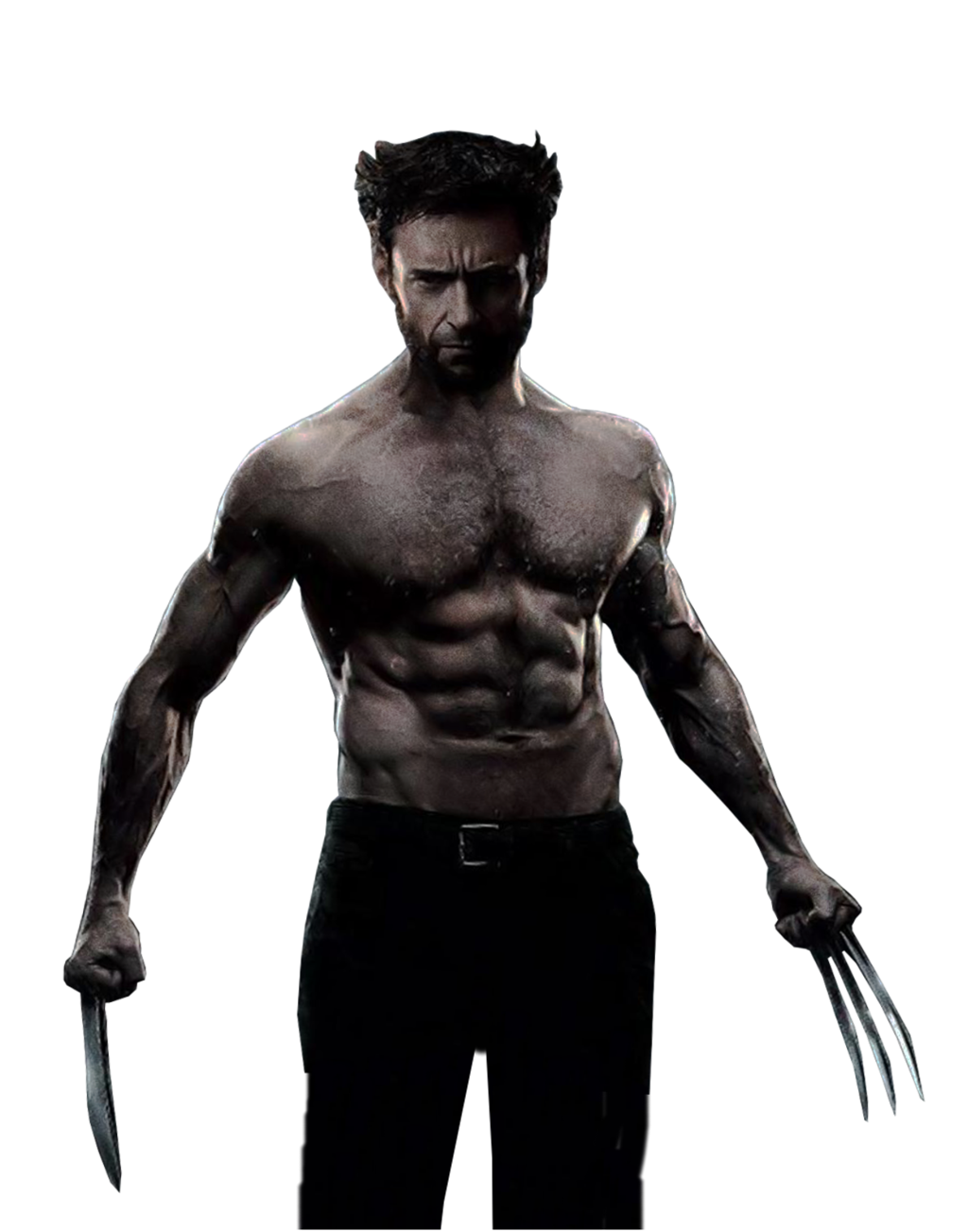 Wolverine Png Image - Wolverine, Transparent background PNG HD thumbnail