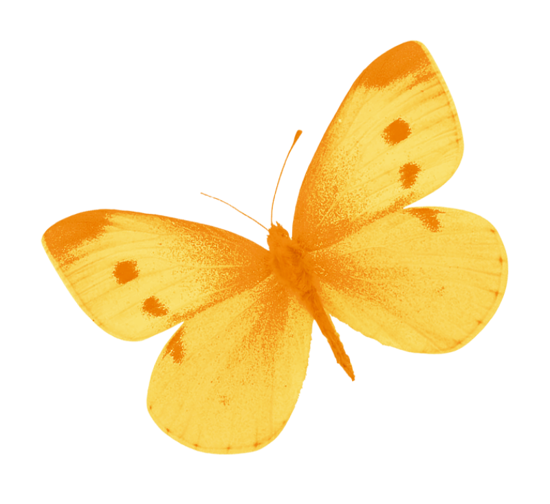 Yellow Butterfly Png By Heemipetal2004 Hdpng.com  - Yellow, Transparent background PNG HD thumbnail
