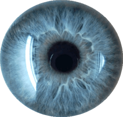 5_1.png - Yeux, Transparent background PNG HD thumbnail