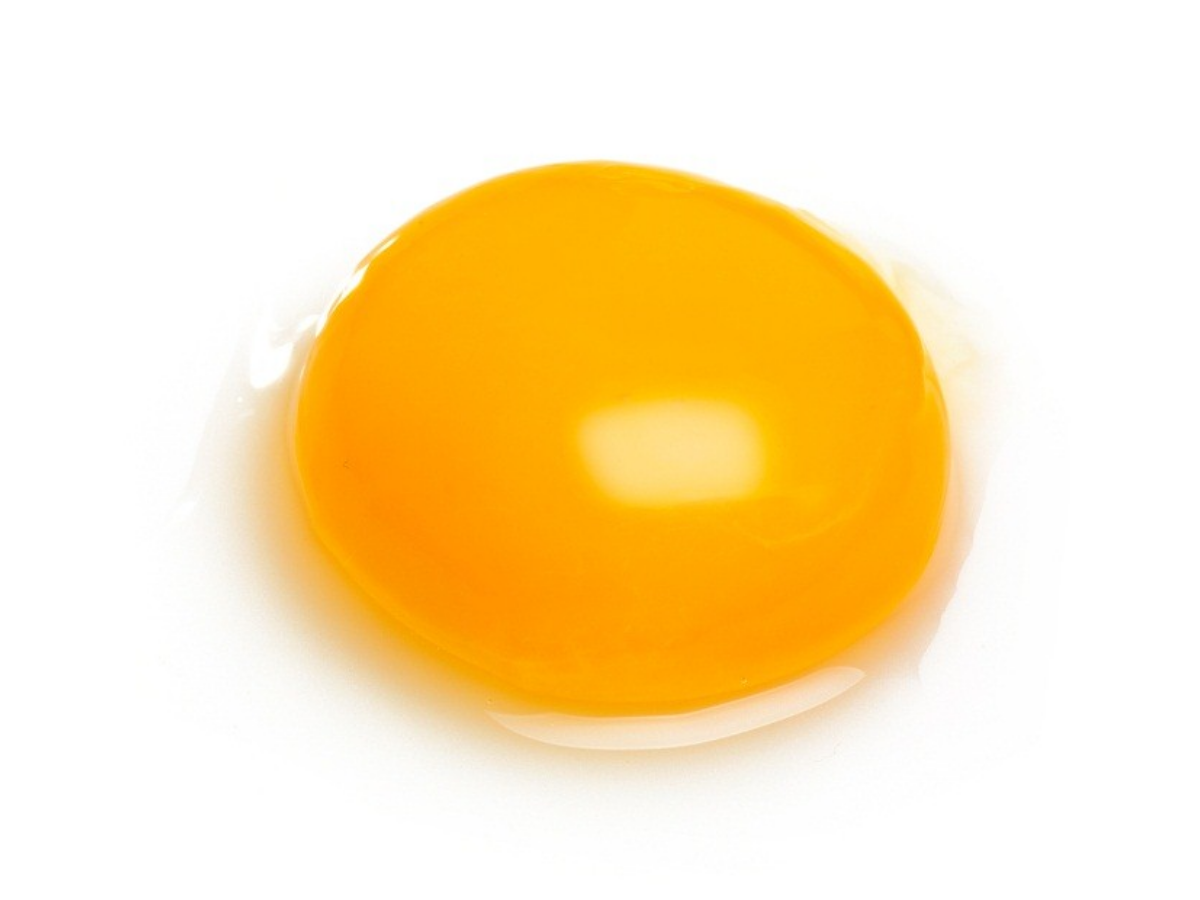 Egg Yolk - Yolk, Transparent background PNG HD thumbnail