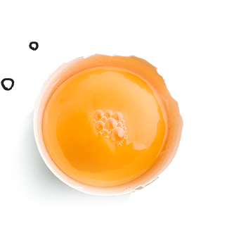 Egg Yolks - Yolk, Transparent background PNG HD thumbnail
