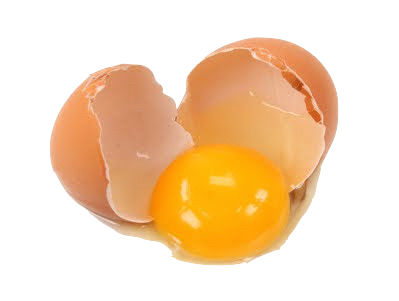 Importance Of Egg Yolk For Babyu0027S Brain Development - Yolk, Transparent background PNG HD thumbnail
