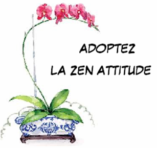 Zen Attitude - Zen Attitude, Transparent background PNG HD thumbnail