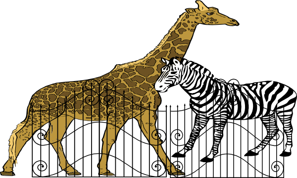 Png: Small · Medium · Large - Zoo, Transparent background PNG HD thumbnail