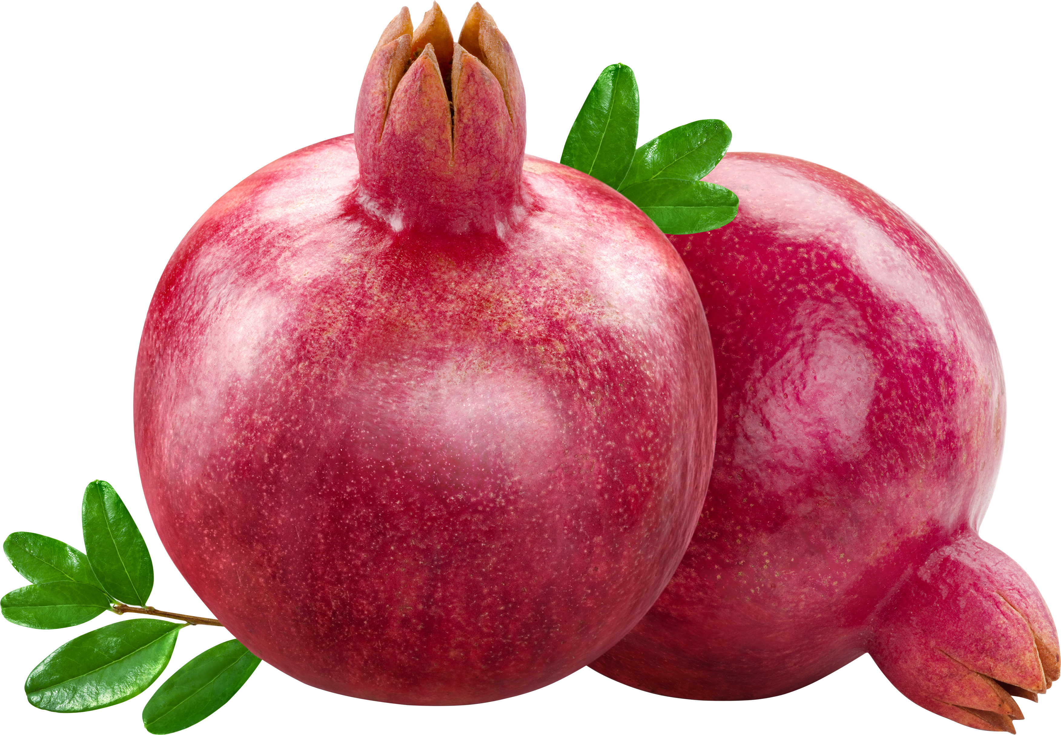 Pomegranate Png image #27823