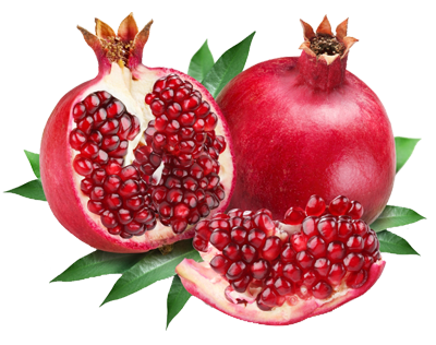 Pomegranate Png Image - Pomegranate, Transparent background PNG HD thumbnail