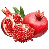 Pomegranate Png Image Png Image - Pomegranate, Transparent background PNG HD thumbnail