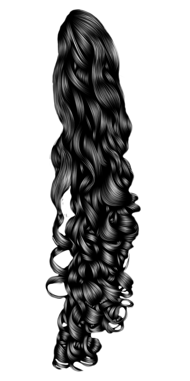 Black Curly Pony Tail By Hellonlegs Hdpng.com  - Ponytail, Transparent background PNG HD thumbnail