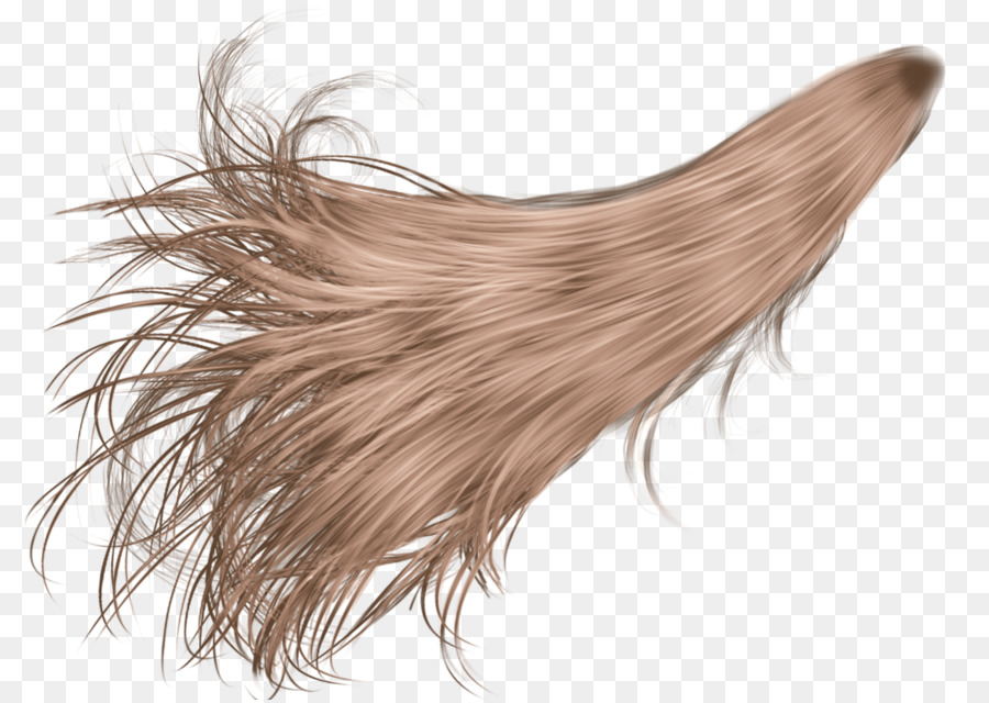 Hair Ponytail Wig Desktop Wallpaper   Hair - Ponytail, Transparent background PNG HD thumbnail