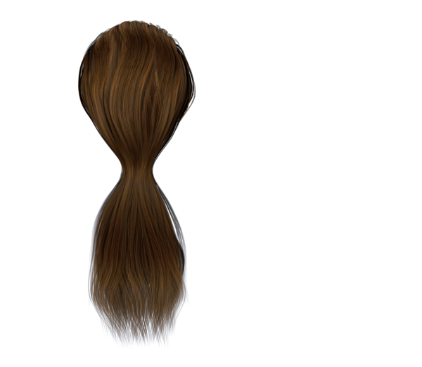 Stock Hair Images #2 Long Brown Back Ponytail By Madetobeunique Hdpng.com  - Ponytail, Transparent background PNG HD thumbnail