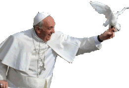 Pope Francis PlusPng.com 