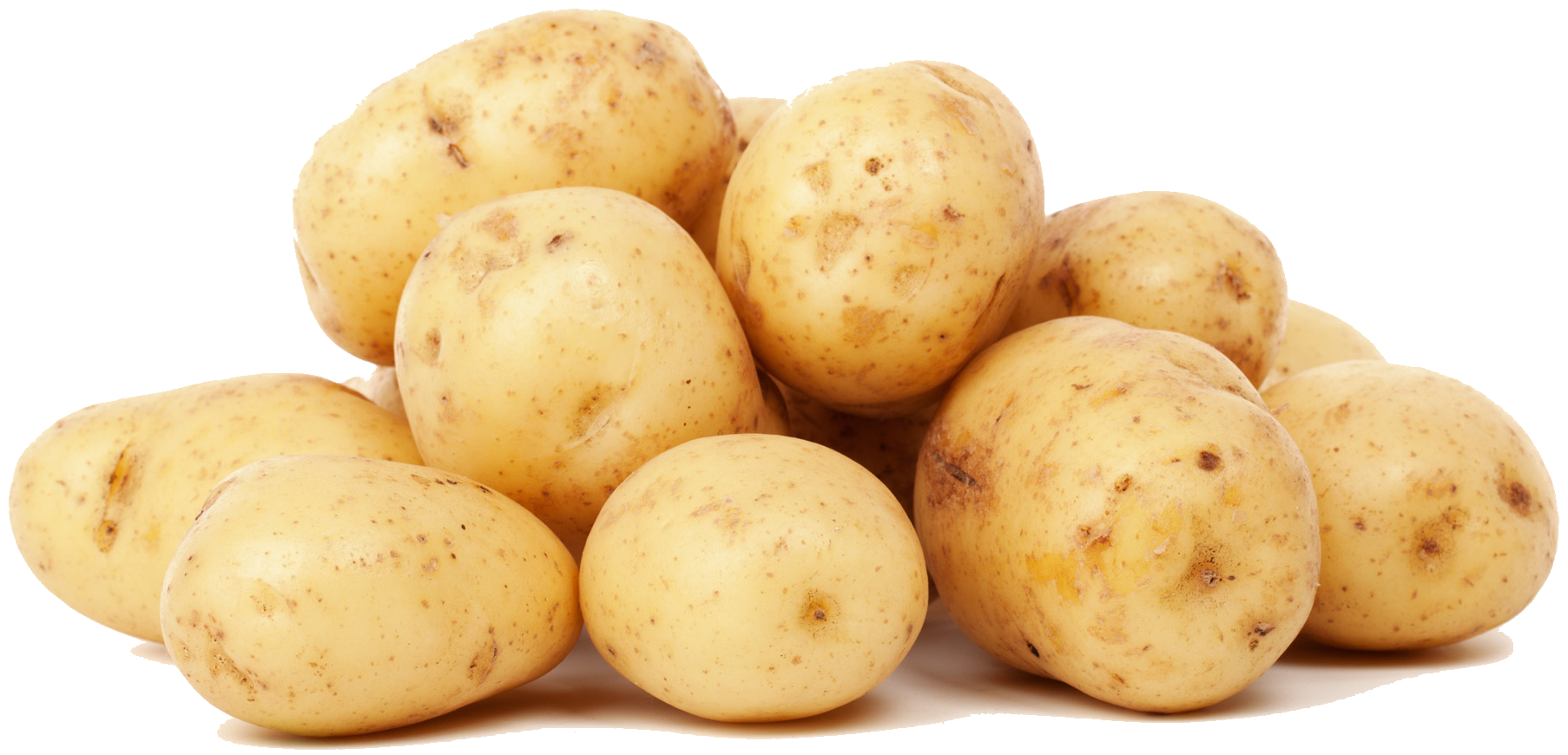 Growing Potatoes - Potato, Transparent background PNG HD thumbnail
