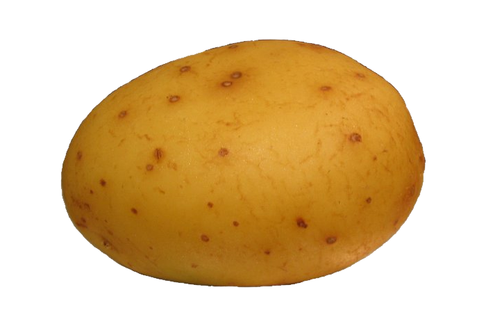 Potato Png Images, Pictures, Free Download - Potato, Transparent background PNG HD thumbnail