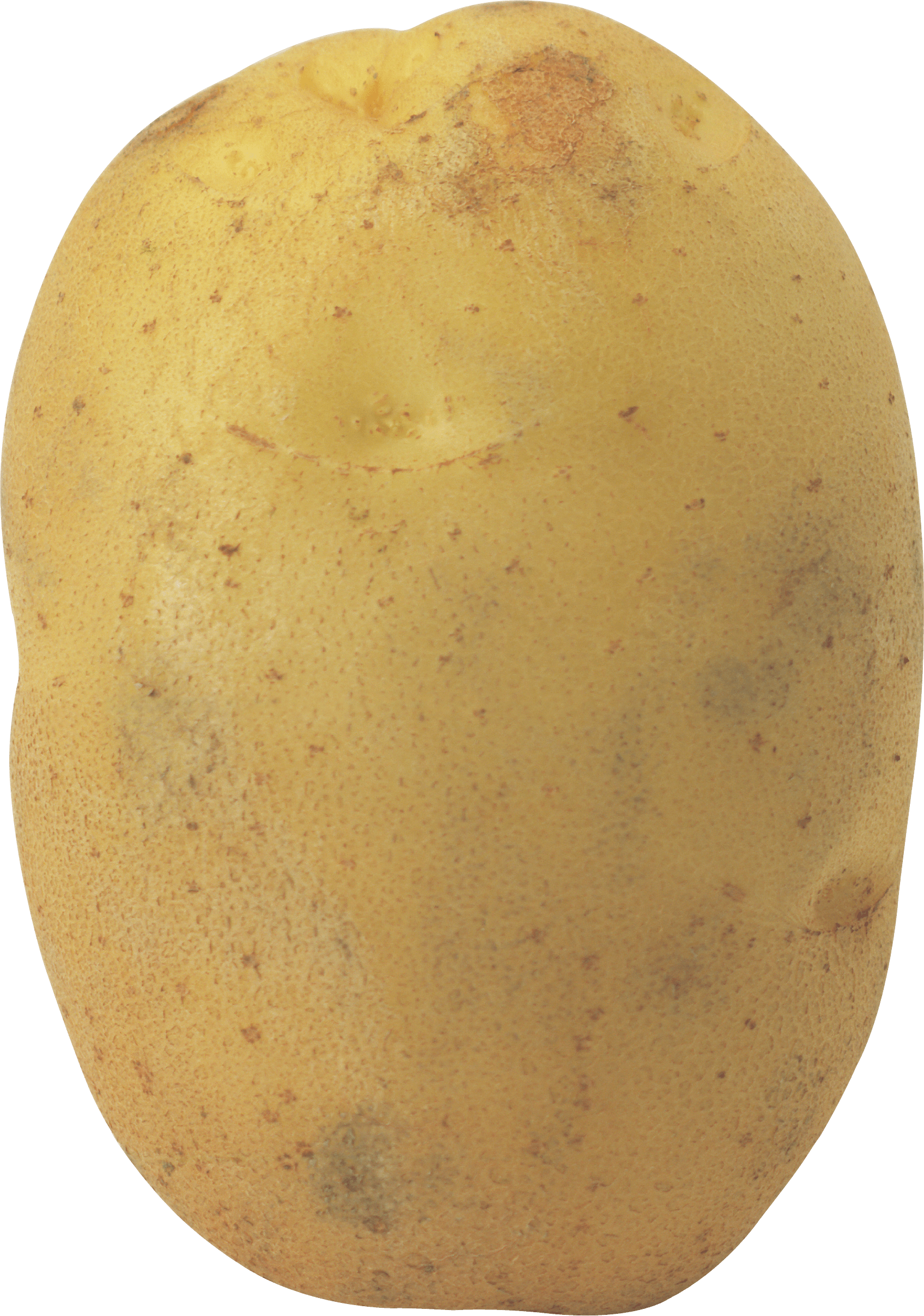 Potato Png Photos - Potato, Transparent background PNG HD thumbnail